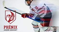hockey phénix ligue RSEQ
